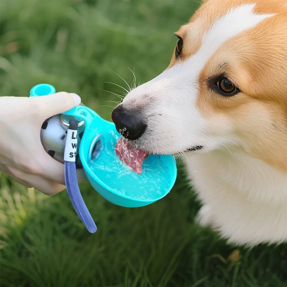Gourde inox compacte Gambadeau pour petit chien lors d’une sortie courte